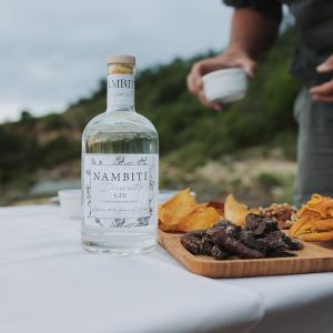 Nambiti-Plains-50